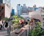 High Line - Promenade in the Big City