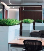 Green Office: Tips for Beginners