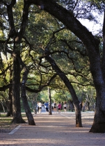 Hardberger Park: There Is a Place for Everyone