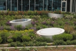 Roof Garden for Work and Leisure