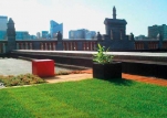 Exploited Green Roofs: The Technology of Installation