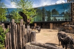 Зоопарк Антверпена: еще ближе к природе